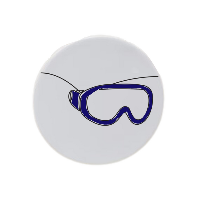 Ski Goggles Disc