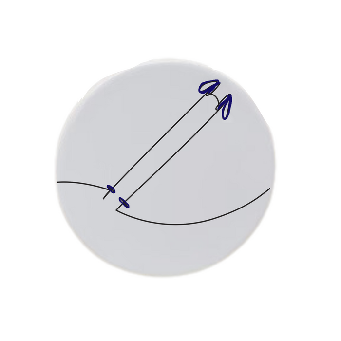 Ski Poles Disc