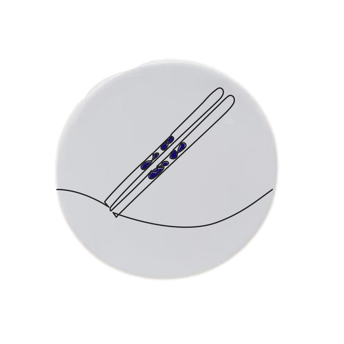 Snow Skis Disc