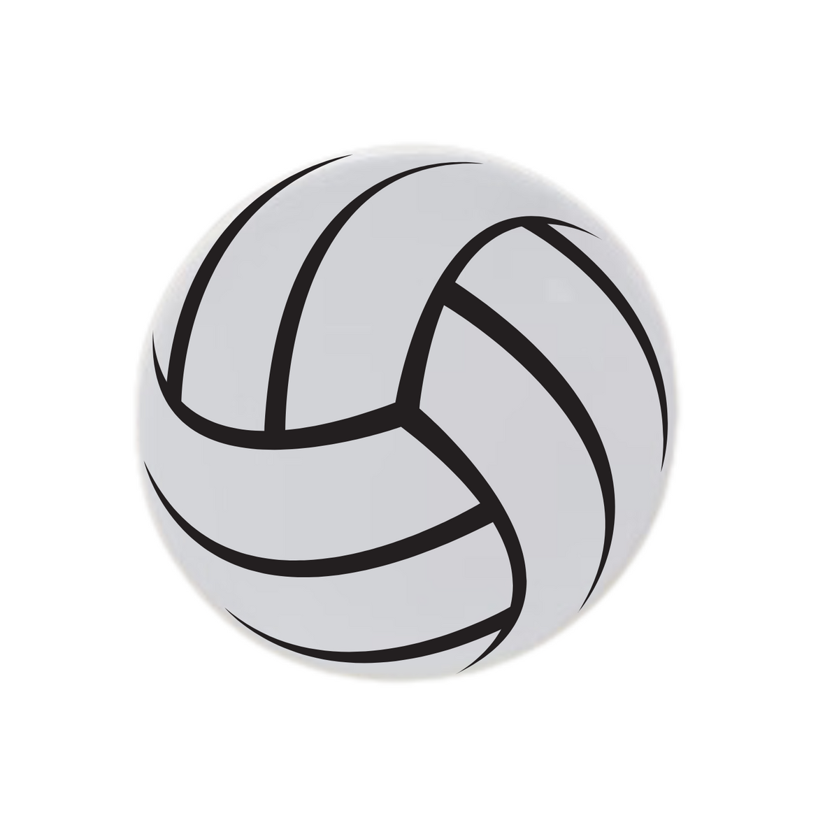 Volleyball Disc